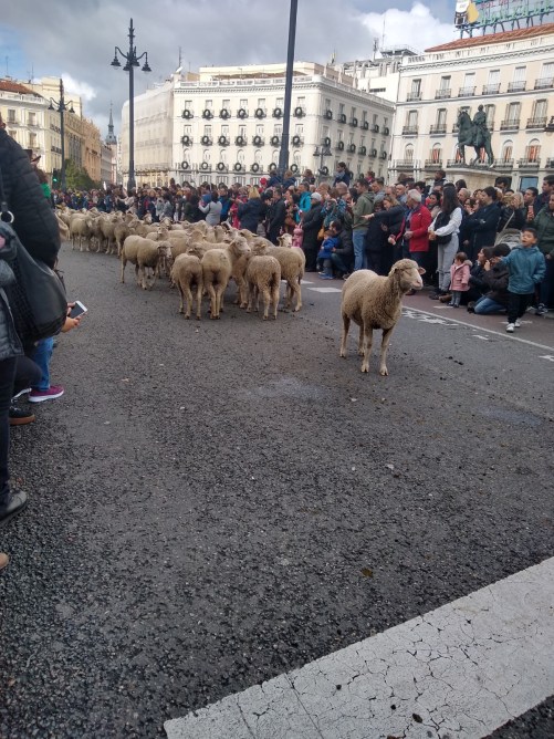 IMG_20191020_122443414_HDR