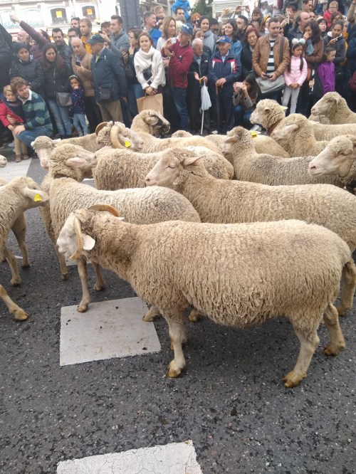 IMG_20191020_122627612