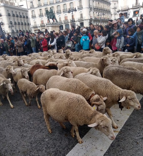 IMG_20191020_122732022_HDR