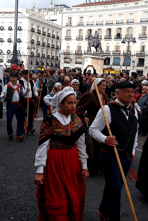 Screenshot_20191116-135245