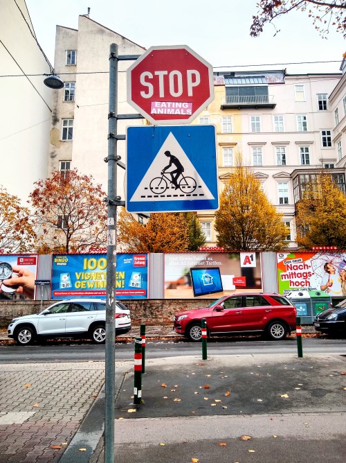 IMG_20191109_142520944_HDR~2