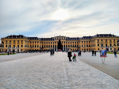 IMG_20191110_125426286_HDR~2