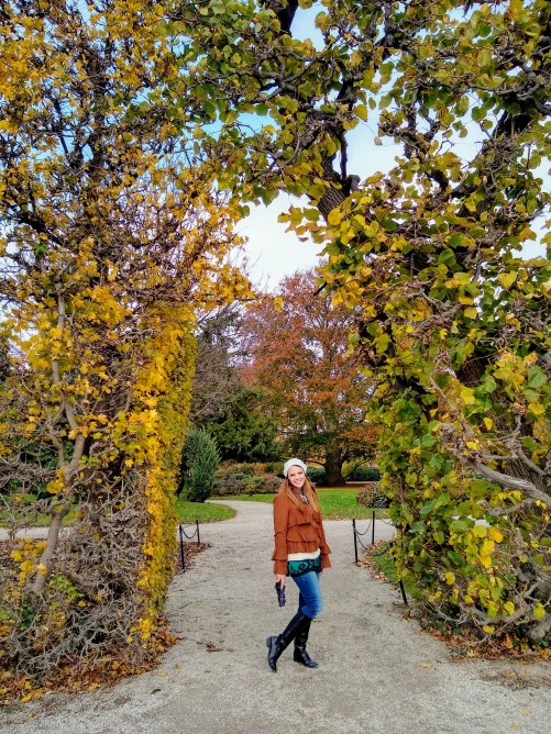 IMG_20191110_131856239_HDR~2