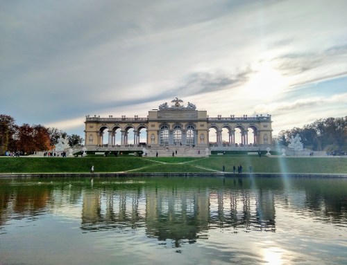 IMG_20191110_140408624_HDR~2