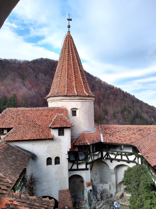 IMG_20191123_120335052_HDR~2