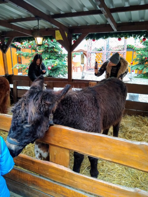 IMG_20191225_111900162~2