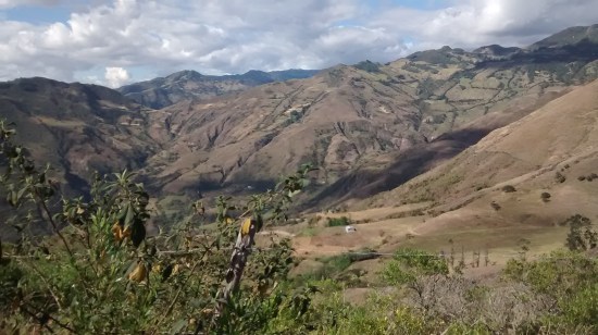 IMG_20160723_155028601