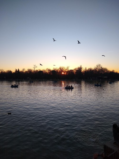 IMG_20191230_174348763