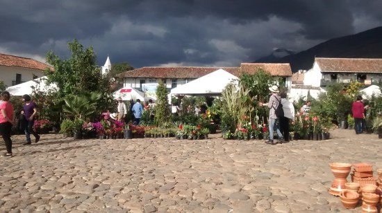 IMG_20151011_154909274